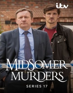 Los asesinatos de Midsomer temporada  17 online